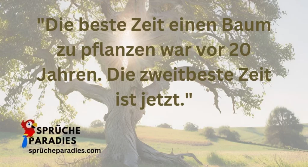 Kalendersprüche Lustig