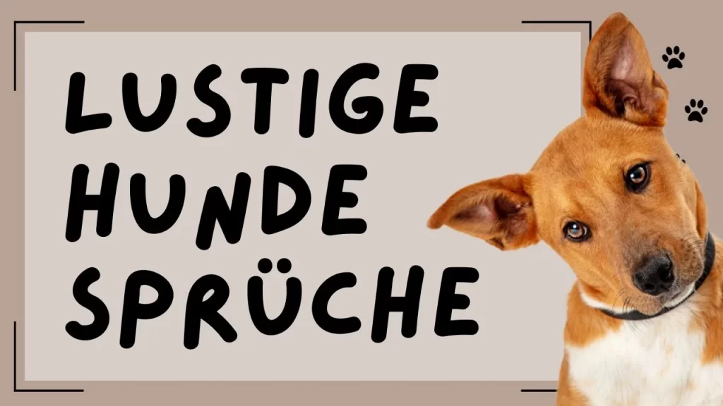 Lustige Hundesprüche: Zum Lachen und Teilen