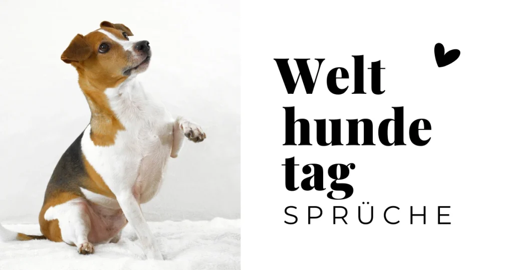 Welthundetag Sprüche