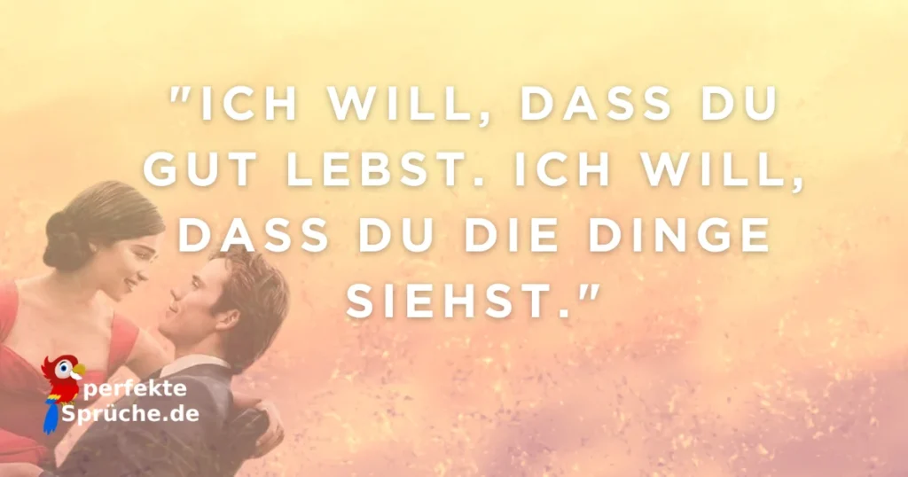 Ein ganzes halbes Jahr Buch liebe Zitate