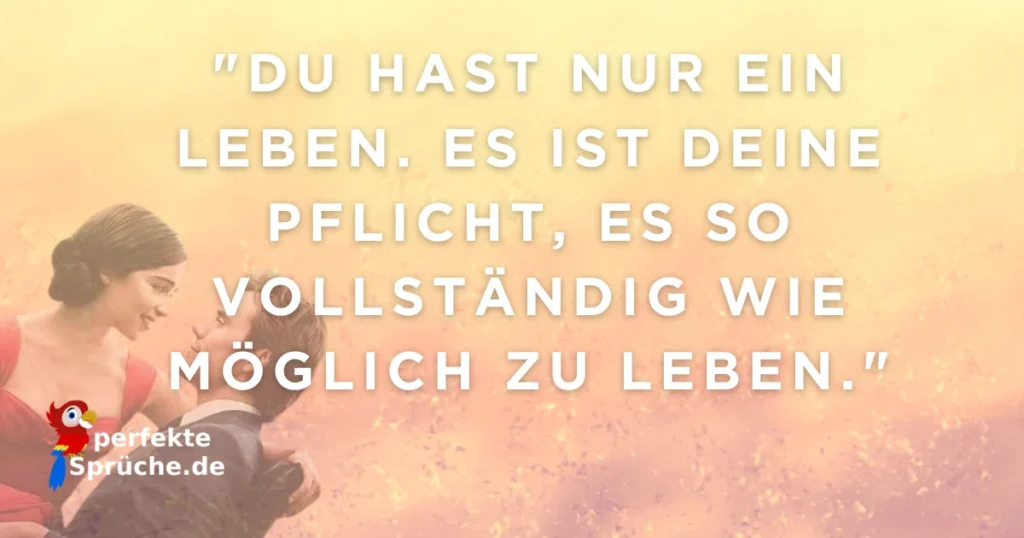 ein ganzes halbes jahr liebe quotes