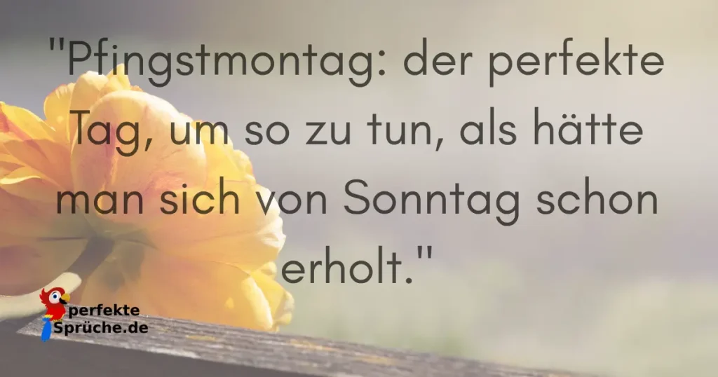 Pfingstmontag Sprüche lustig
